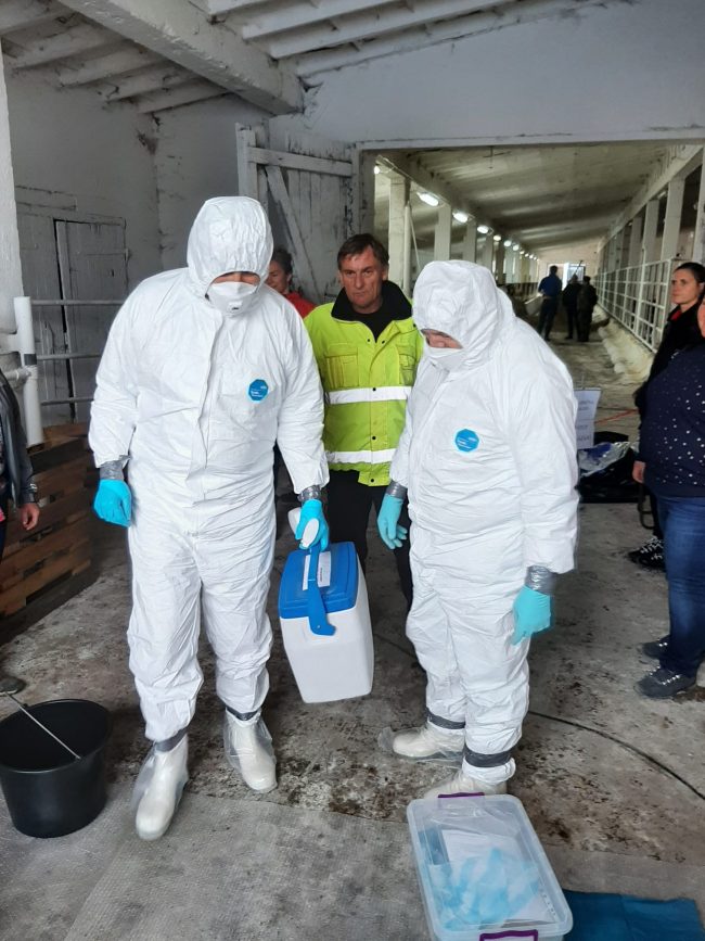 Simulačního cvičení veterinárního dozoru - veterináři v ochranných oblecích