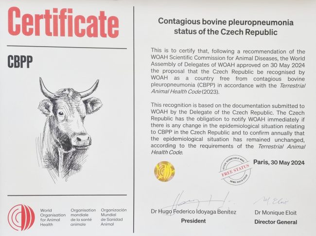 Certifikát