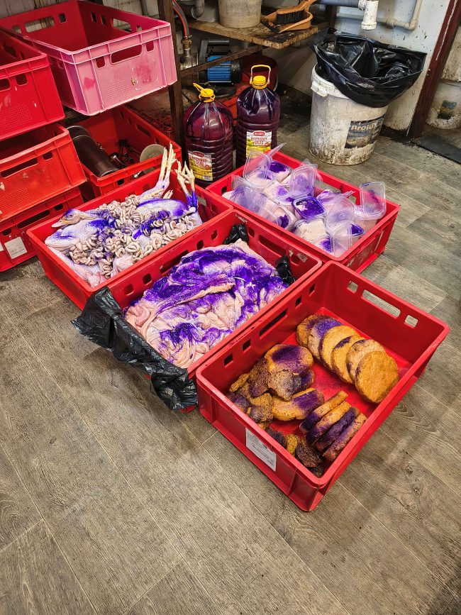 Živočišné produkty znehodnocené obarvením