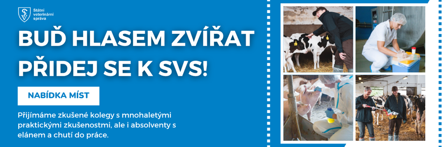 Webové stránky banner 7