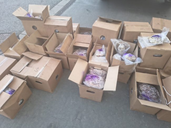 obarvením znehodnocené maso